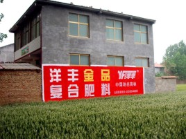 南宁如何让墙体广告展现最大化效果