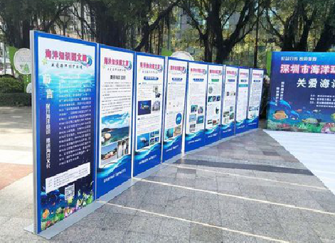 南宁KT板的种类和知识。